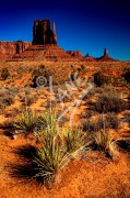 UTAH Monument Valley